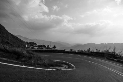 C.Layrisse PieDeCerro 04