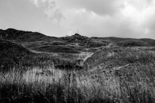 C.Layrisse PieDeCerro 08